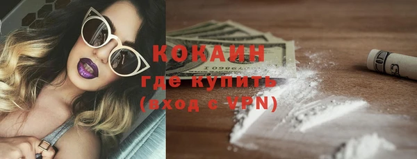 гидра Гусь-Хрустальный