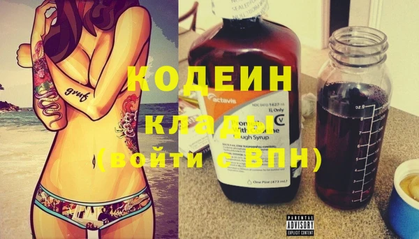 гидра Гусь-Хрустальный