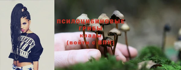 jwh Гусев