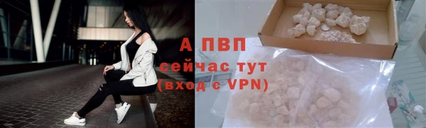 jwh Гусев
