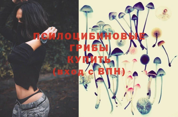 кокаин VHQ Гусиноозёрск