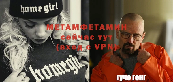 гидра Гусь-Хрустальный